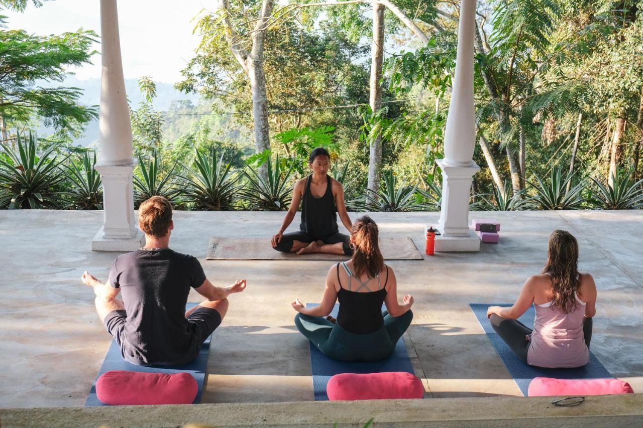 Welikande Yoga Retreats Hotel Digana Exterior foto