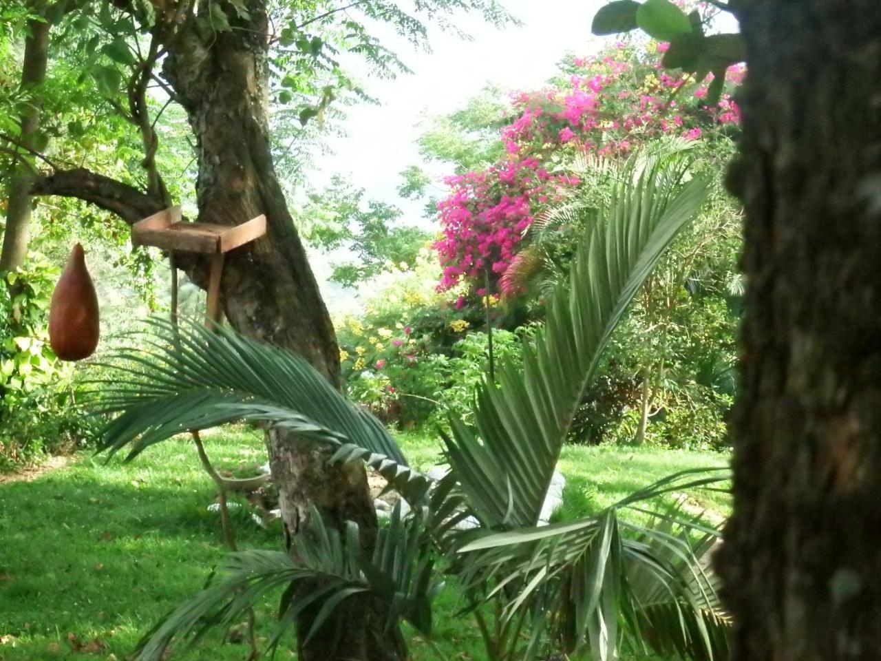 Welikande Yoga Retreats Hotel Digana Exterior foto